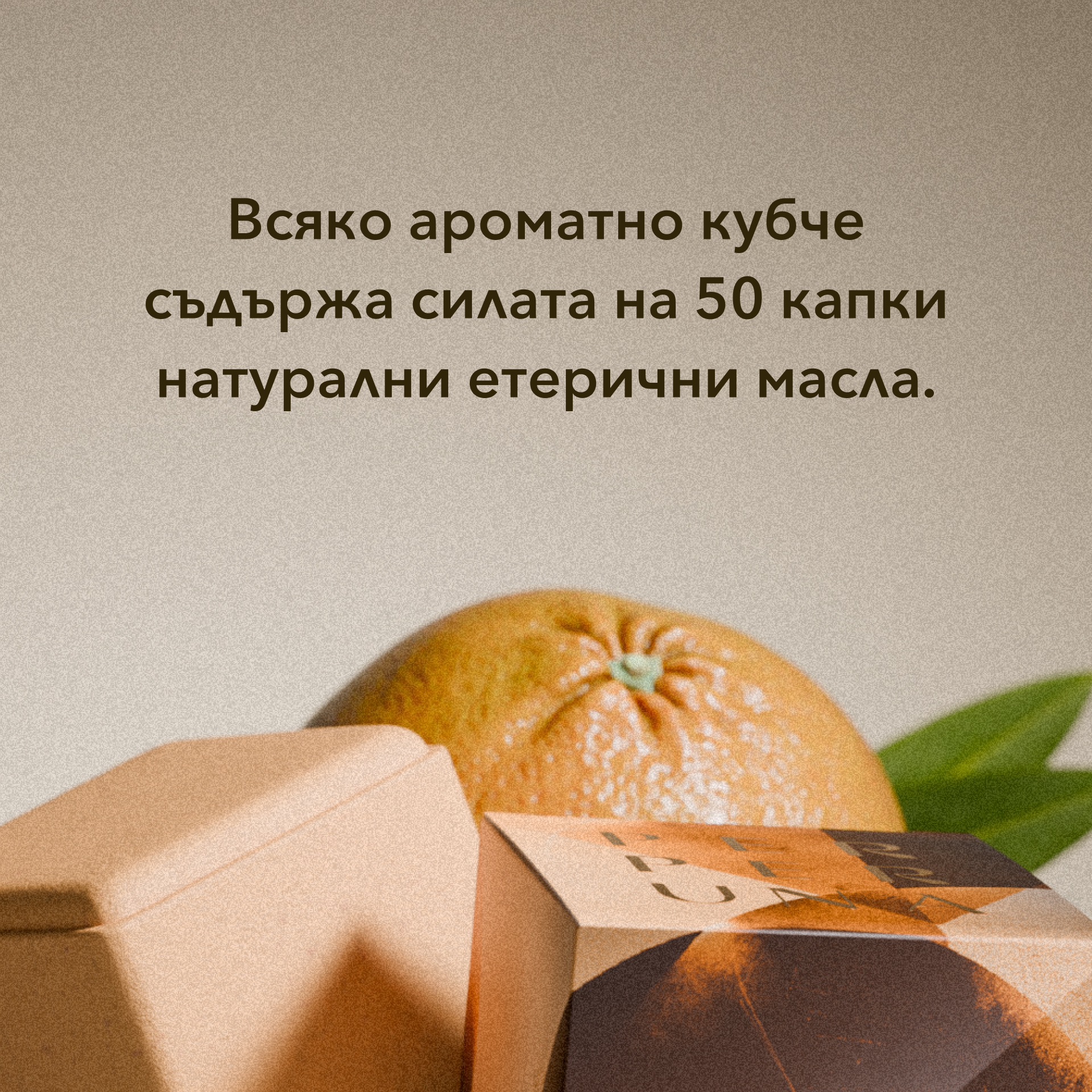 Balance - Ароматна кубче за душ