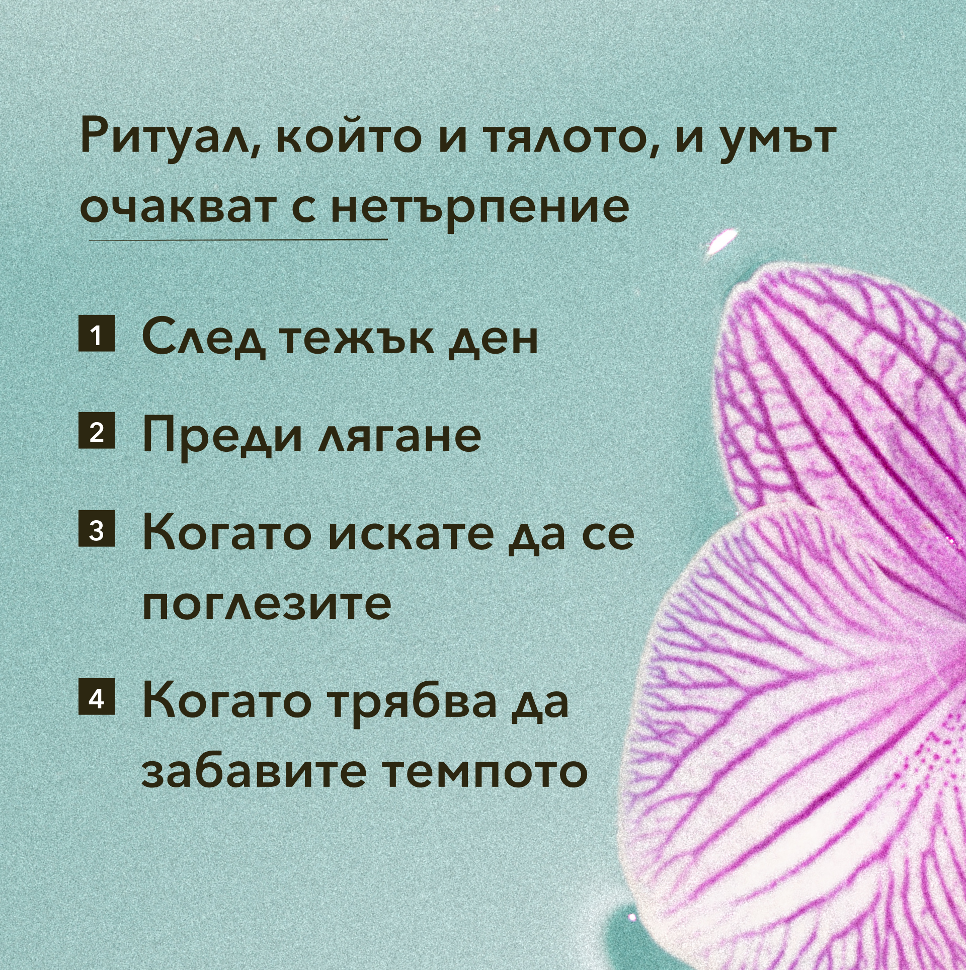 Пълна колекция чайове за баня + чаша и лъжичка
